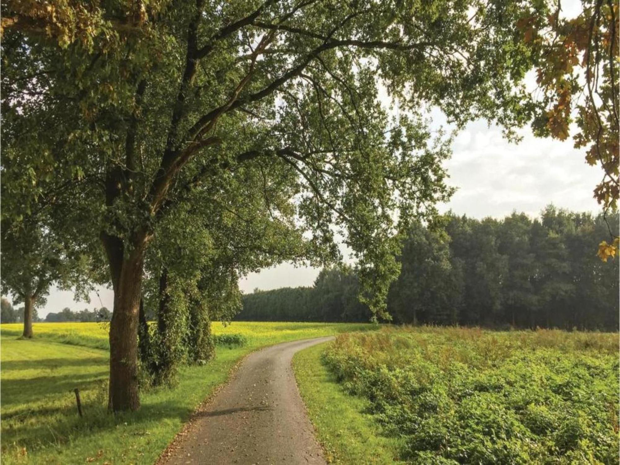 Вилла Monumental Farm In The Ash Landscape Geesteren  Экстерьер фото